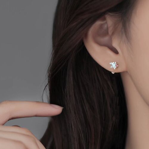 Glitter Star Earrings for Women, Light Luxury and Elegant, Five-Pointed Star Earrings, Korean Style, Sleep-Friendly, Screwless Screw Fastener, Autumn and Winter Edition