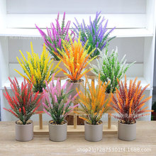 �¿����޹�²��辰�b��Ҿӿ͏d�ٻ����������b�С���Բ廨��