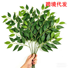�羳���~���������~��������~�Gֲ�b�֦�l�҃Ȼ�c�[������G�~