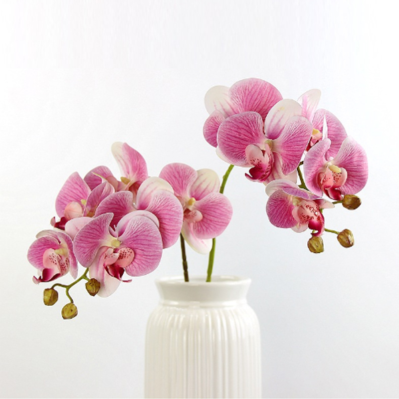 6-cabeza Phalaenopsis 3D-rosa RW-1