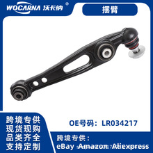 �m��·������ IV(l405) 2013-2017 ǰ��ֱ�F�[�� ���Ʊ�LR034217