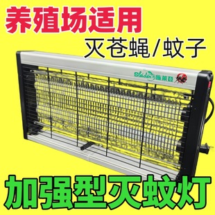 ʩ�R�ǜ��ß���ω��LED�iţ�Bֳ�����̃����nω�����nω���T����