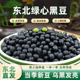 真空东北绿芯小黑豆新货农家新鲜绿心黑豆浆专用圆粒黑皮豆杂粮