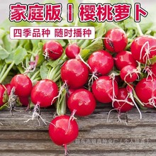 �t�����}���N��ˮ���}���N��ԭ�b�ļ��߲��}���N�Ӵ�ȫ�˷N�����l
