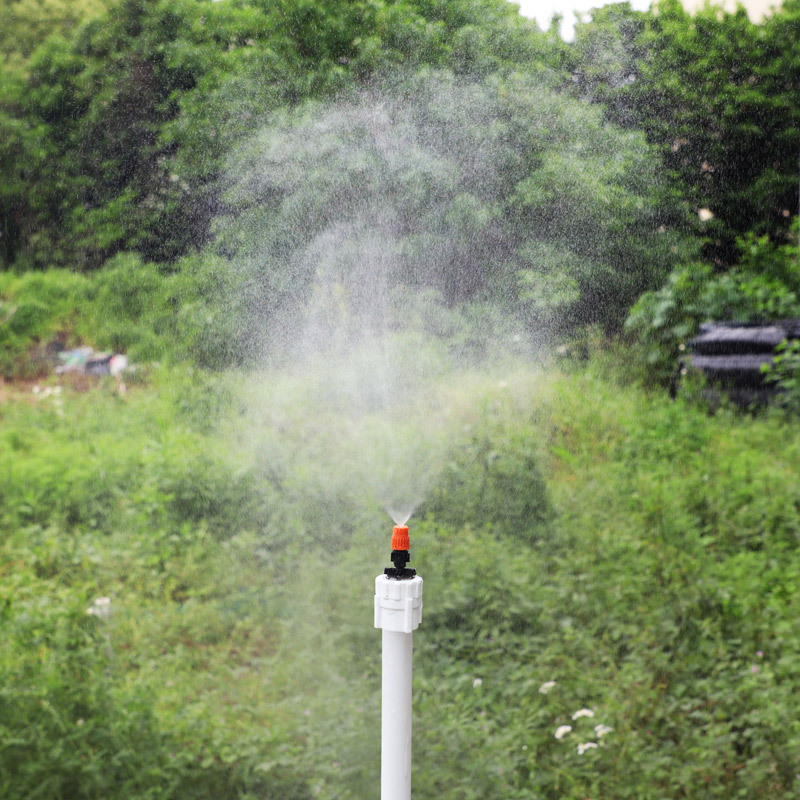 Jardín de la lluvia