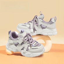 2025괺ļ¿WƤ\Ь͸⃺ͯͯЬͯŮͯдͯ