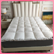 ✅酒店风格加厚床垫榻榻米10cm垫子羽丝绒垫子租房家用可修改尺码