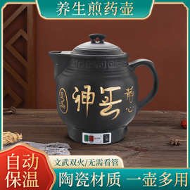 养生壶陶瓷电药壶熬药煲小家电家用药罐煎药锅中药壶老人头神童壶
