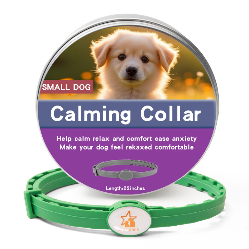 맞춤형 강아지 상자 녹색 56CM