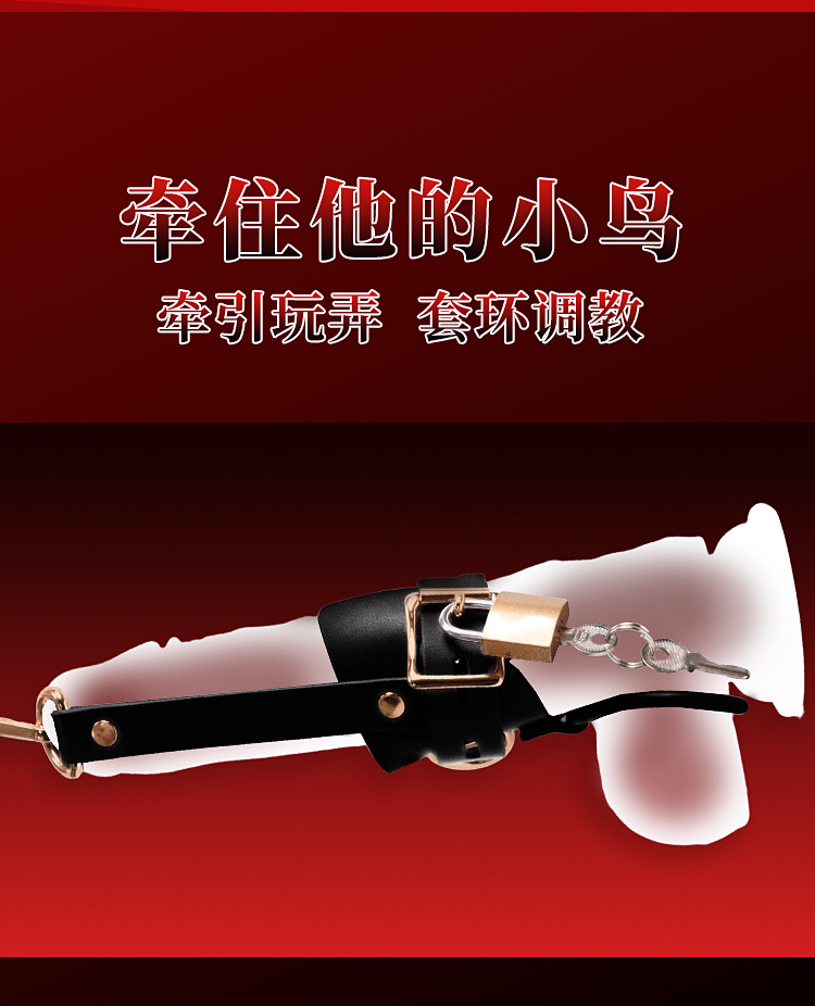 SM Locking Bird Restraint Belt in PU Leather for Adult Couples — detail image 14
