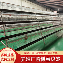 �����Bֳ�����A��ʽ���u�\A�����B�u�O���ʳ�۾Gʳ����\�Bֳ�\