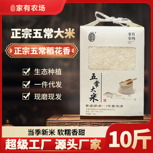 �����r�� 2025�����������峣����GB/T19266�������r�׵�����2̖