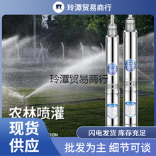 深水井水泵潜水泵高压水泵家用220农田灌溉380