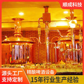 现货供应2000L餐厅/酒吧精酿啤酒设备玫瑰金色精酿啤酒成套设备