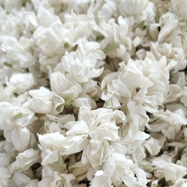 Прямые продажи по происхождения жасмина Гуанси Нэнчжоу, жасмин Гуанси Хэнсиана все, большой снежок Жасмина