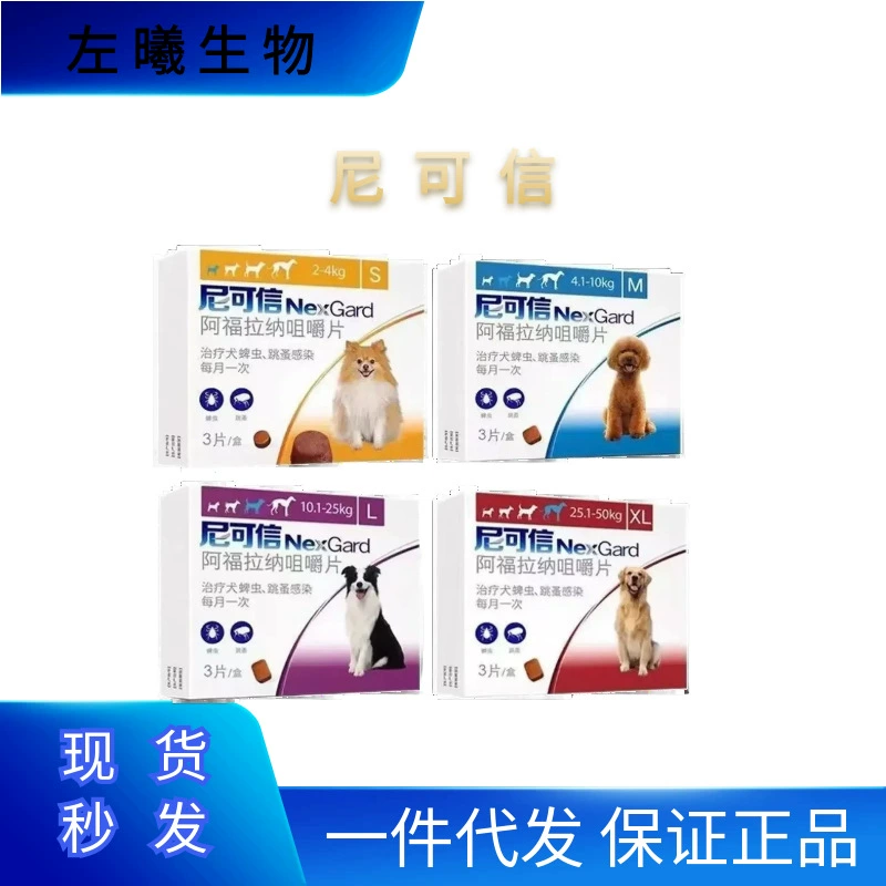 Николь письмо SMLXL собаки in vitro