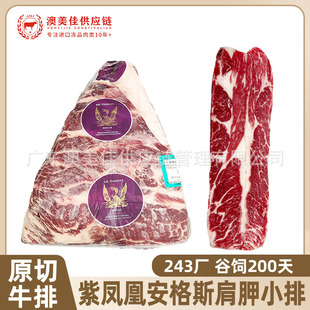 ����243���P�˰���˹����С�����Ǽ���ԭ��ţ�ſ���ѩ��ţ�����l
