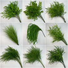 �J���ݾGֲ����횲ݼٻ��׾Gɭϵ��c�b���Ȼ�L�����廨·��