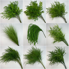 芦荀草绿植花龙须草假花白绿森系婚庆装饰自然风背景插花路引