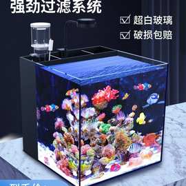 背滤海水缸珊瑚缸新手中小型客厅桌面方缸超白鱼缸免换水懒人造景