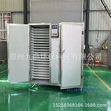 福建金线莲烘干机小型电加热金线连金线草烘干箱金草除湿烘干机