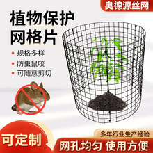 ����ֲ�ﱣ�o�\�A�λ��@��ľ�@ˇ���ߏS�����a�����F�zֲ�ﱣ�o��