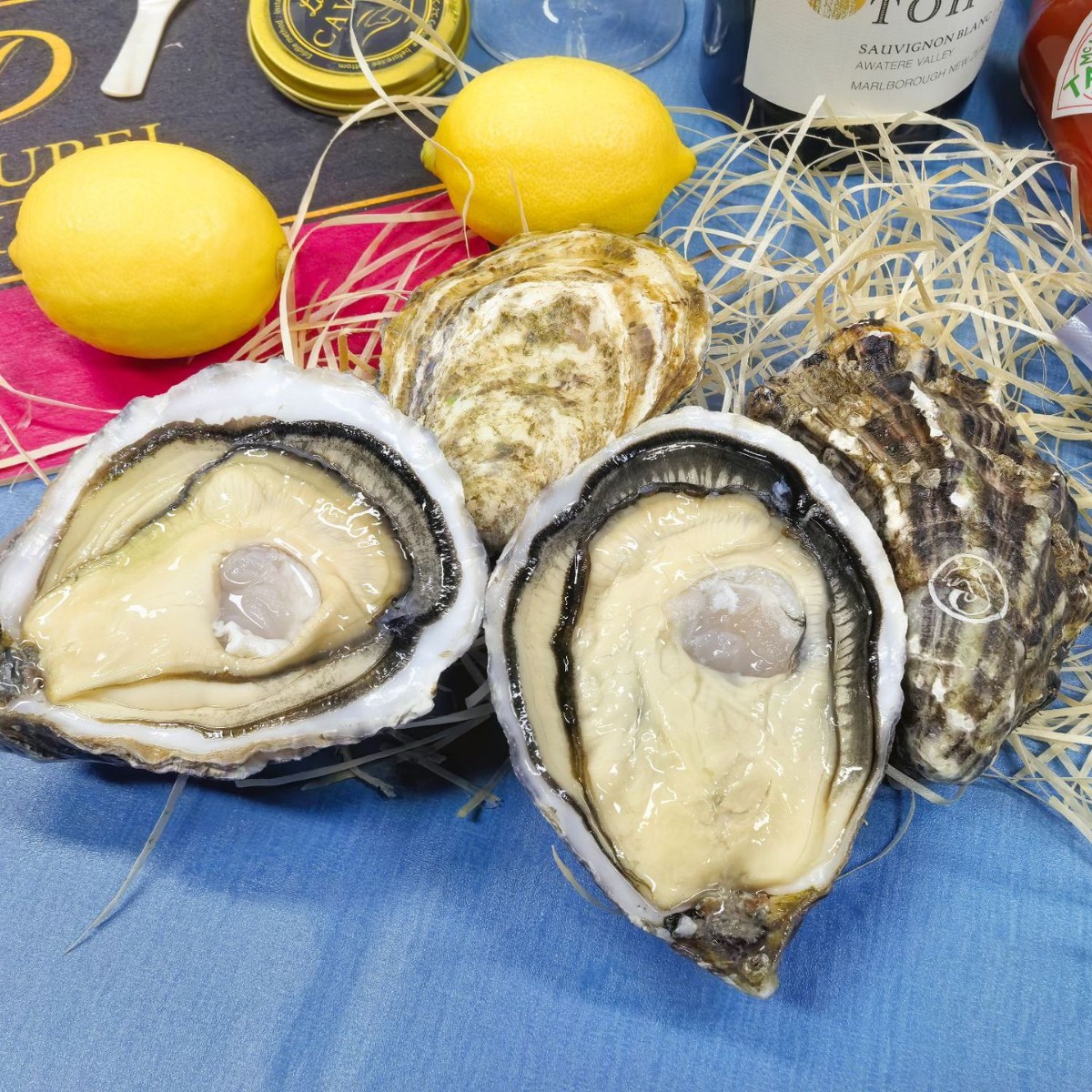 法国进口吉拉多Gillravage大生蚝产地批发海鲜活生蚝整箱批发水产