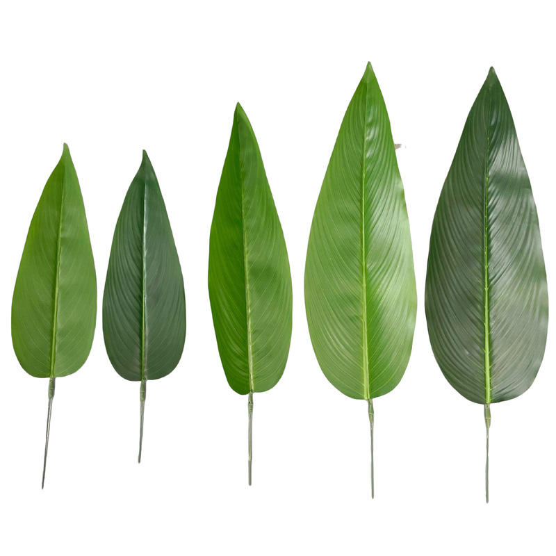 Imitation leaves small traveler banana leaves wedding flower arrangement accessories balloon party decoration fake leaves factory wholesale canna Imitation leaves small traveler banana leaves wedding flower arrangement accessories balloon party decoration fake leaves factory wholesale canna