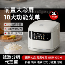 跨境彩屏智能家用2L电饭煲多功能预约定时1-2人宿舍不粘锅电饭锅