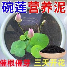 ��ɏ����ˮ���಻��ˮ�҃�ͥԺ˯ɏ�~�X���~��ˮ���쾰������羳