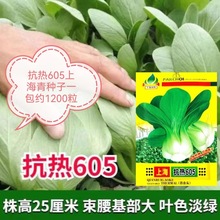 ����605�Ϻ���N��С�Ͳ�С���С�ײ˷N���ļ��r��ͥԺ�̨����