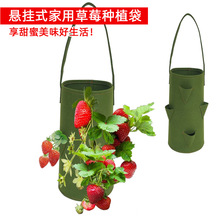 �Ғ�ʽ��ݮ�Nֲ��ֲ�����L������©�o����ë�ֈ@ˇ�߲˻��ܷNֲ��