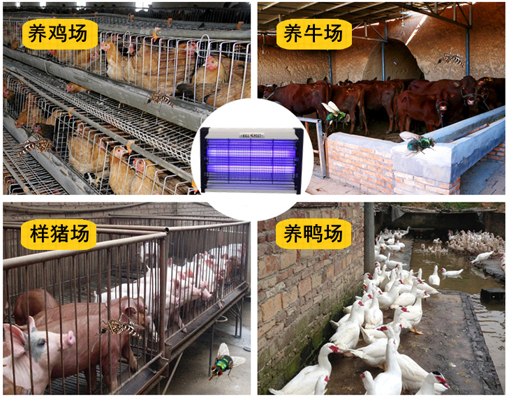 灭蚊灯适用场所1