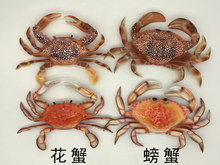 �з�������ģ�Ͳ͏Nʳ���b�����ꐺ��r�[�������зģ��