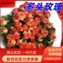 云南高品质直发多头泡泡