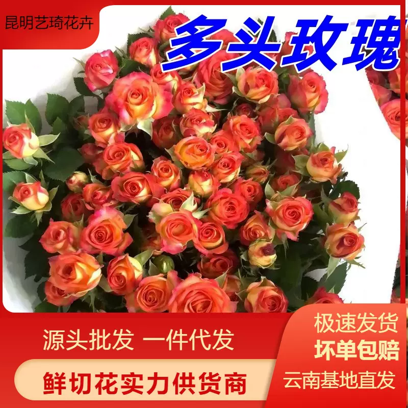 多头玫瑰花云南直发花店家用情人节母亲节鲜切花批发一件代发真花