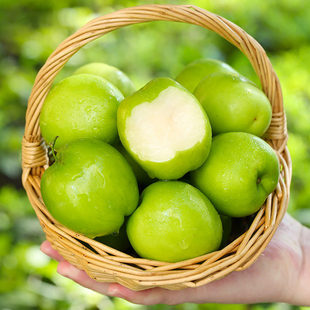 ���A�ϡ����� 250g/��*3��