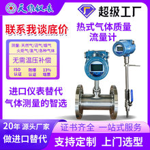 热式气体质量流量计管段插入式4‑20mARS485 输出 工业气体宽量程