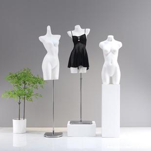 Y Full Body Men's and Women's Half-Body Female Fake Clothing Store Underwear Model Human Underwear Display Stand Bra Model Props Model