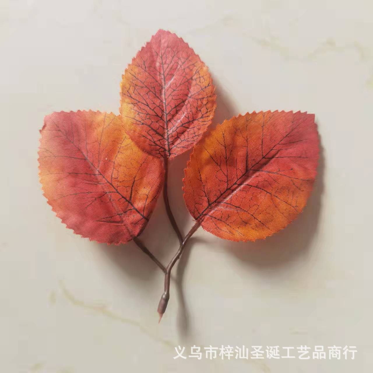 图片_20211120145558