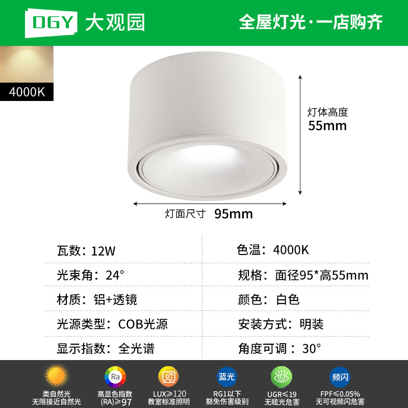 Da Guan Jardín luz de reflector anti-deslumbramiento colina sala de estar sin luz principal luz de techo downlight led corredor luz de techo 495L image 23