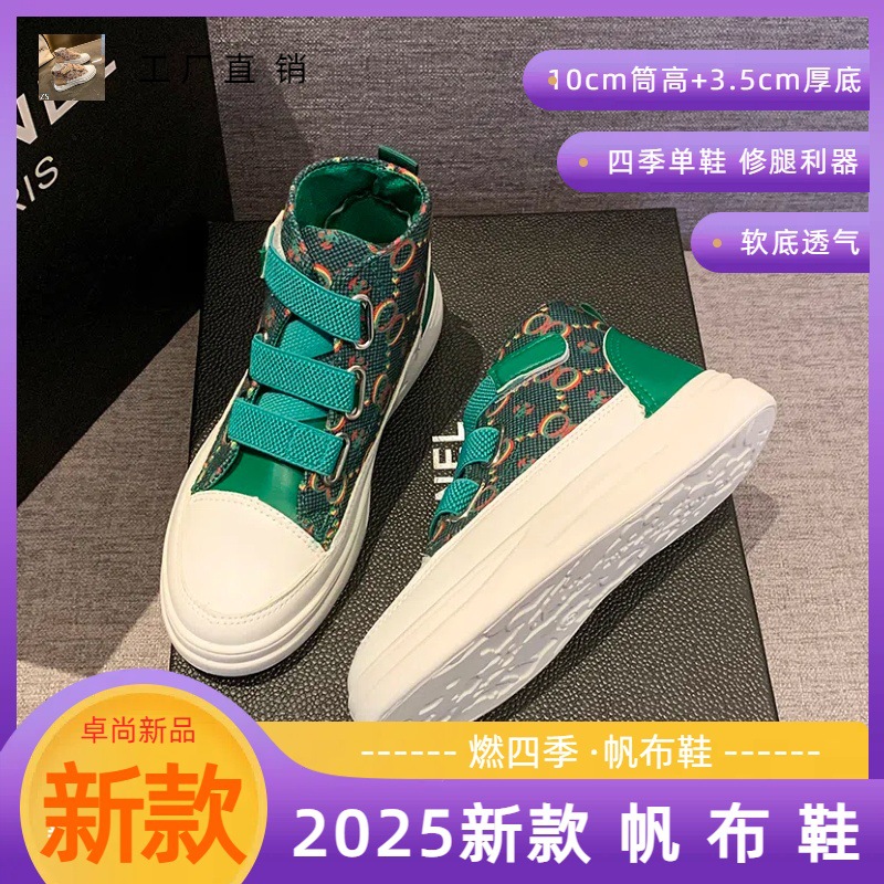 M19 녹색 [업그레이드 버전