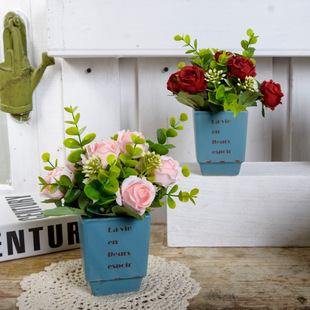 ���R�d���컨ֲ�������մɻ�ƿ���滨��õ�廨�Ҿ��k�����b[��