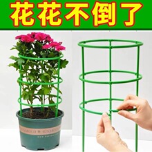 绿植护藤架花架拼接支架花架子室内家用加粗自由组合花架加厚耐用