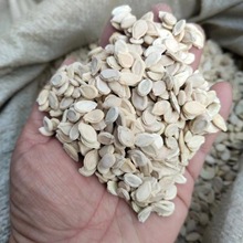 安国中药都中药材冬瓜子双边冬瓜白瓜子地道