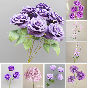 ��ɫ��c���滨��õ���c���Ż����l�҃��b����ٻ��\��ɫ����