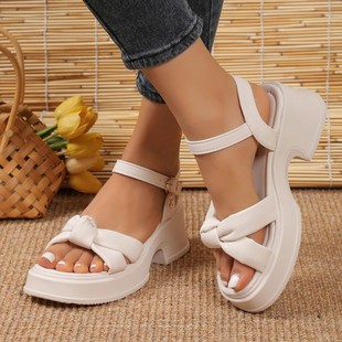 Fashion Sandals for Women Summer 2025 Fashionable Casual Platform Soles Good with Skirts Medium Heel Thick Heel Beach Sandals for Women