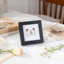 ϡ�����F������˱��b쮋���x�[����ľ������|�ۼo��С���Y��