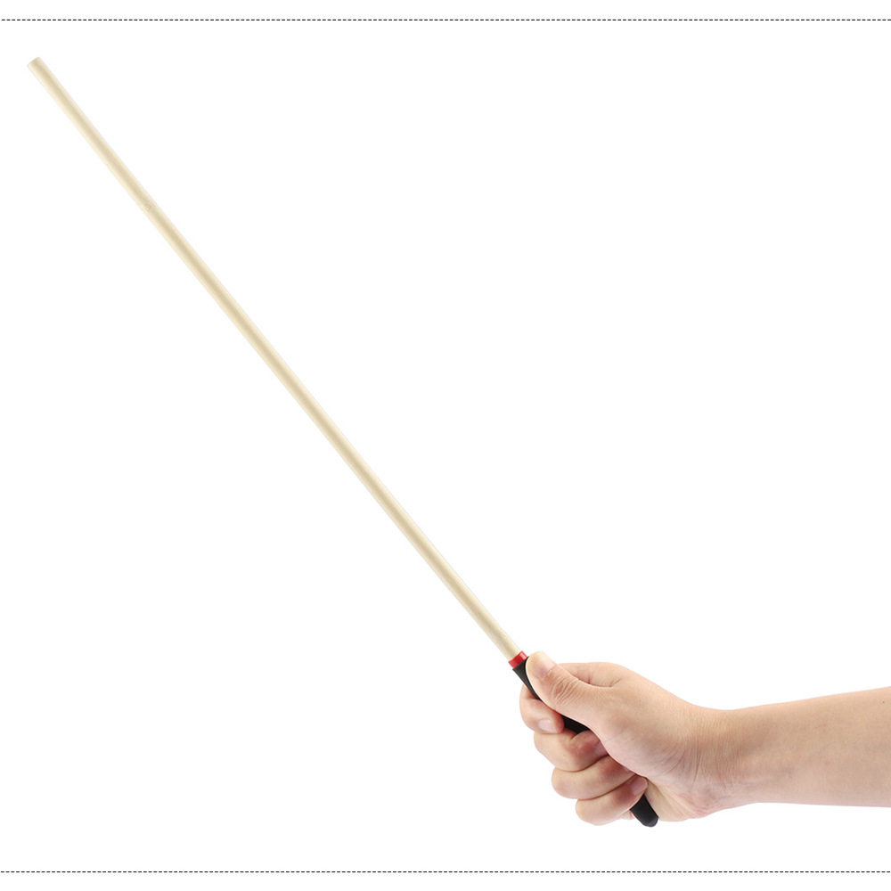 artículos sexuales, flagelación