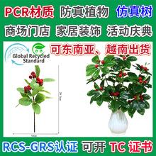 ���԰lؔ�����⾰�^����M��������������ͬ���������Ϸ���ֲ��